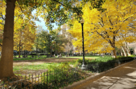 Moving to Philadelphia? Consider One Of These Hot Neighborhoods