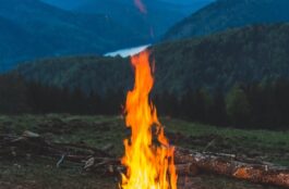 Actions You Can Take to Avoid Mold Growth in Home Appliances