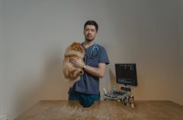 Exotic Pet Owners: What Problems Can Be Encountered