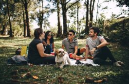 How to Be a Proactive Dog Parent